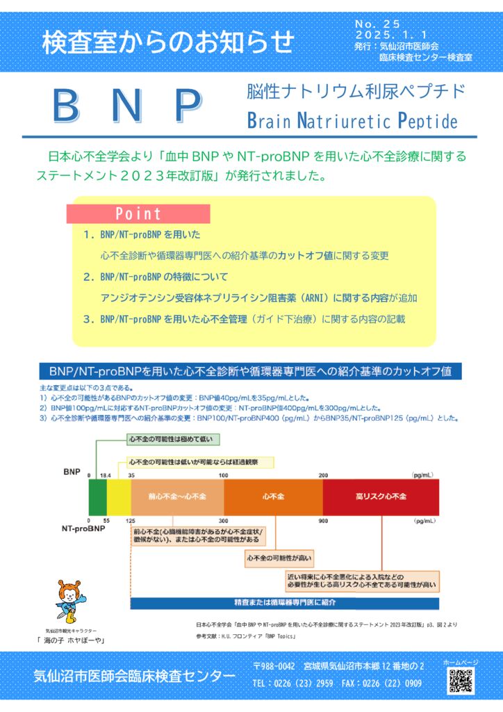 2025.1.1　お知らせ №25（BNP）のサムネイル